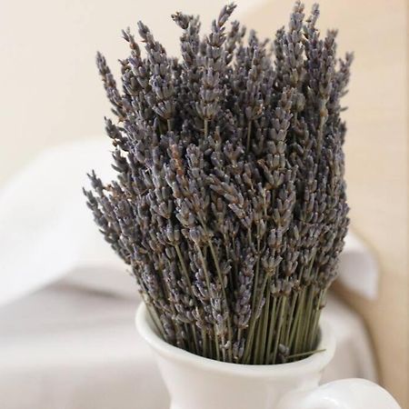 Lavandula Ring Tirana Exterior foto